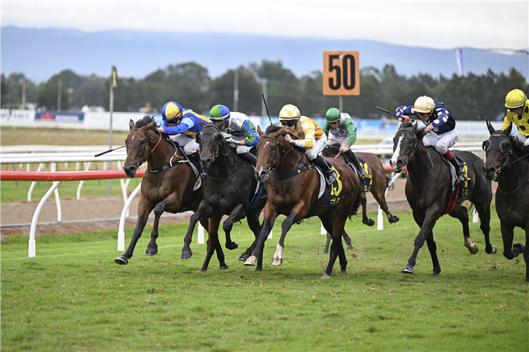 RISE OF THE MASSES winning the THE LAWN SHED BENCHMARK 88 HANDICAP at Hawkesbury in Australia.