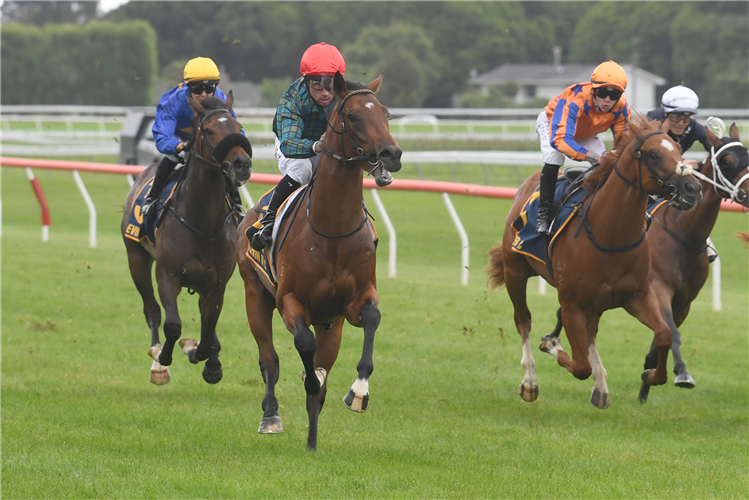 ROMANOFF winning the UZA BUS TWO YEAR OLD