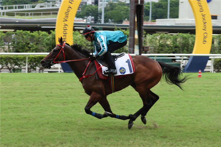 Hugh Bowman guides Romantic Warrior to victory at Happy Valley.