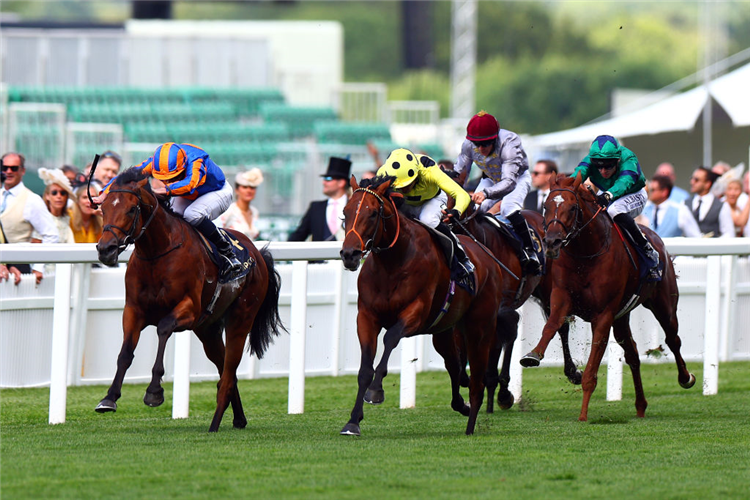 ROSALLION (yellow silks) winning the St James's Palace Stakes at Ascot in England.