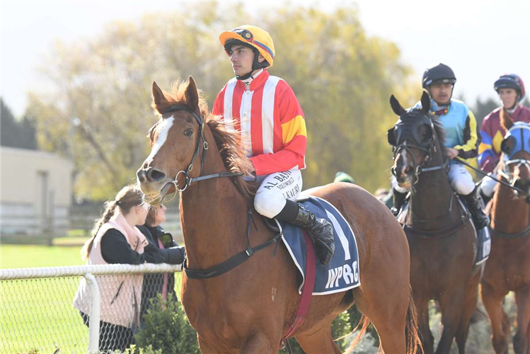 ROYAL FLOWER winning the MURRAY CONTRACTORS & QUOTATION FOODTRAILER