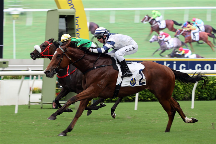 RUBYLOT winning the THE YAN CHAI TROPHY (HANDICAP)