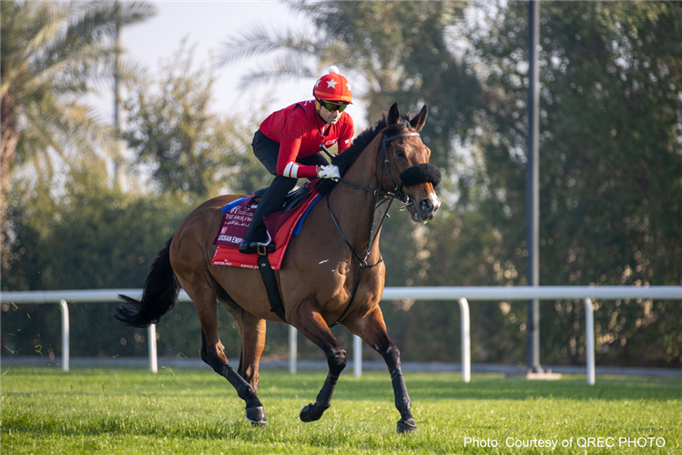 Russian Emperor stretches out in trackwork at Al Rayyan.