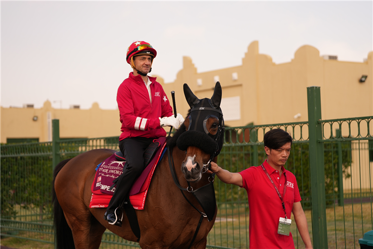 Douglas Whyte and Russian Emperor at trackwork in Qatar.