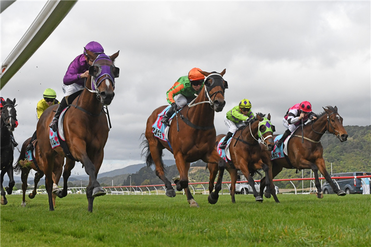 SACRED PEARL(purple) winning the MODE TECHNOLOGY FEILDING CUP