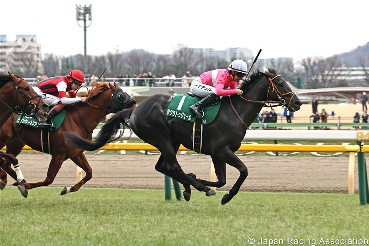 SAKURA TOUJOURS winning the Tokyo Shimbun Hai at Tokyo in Japan.