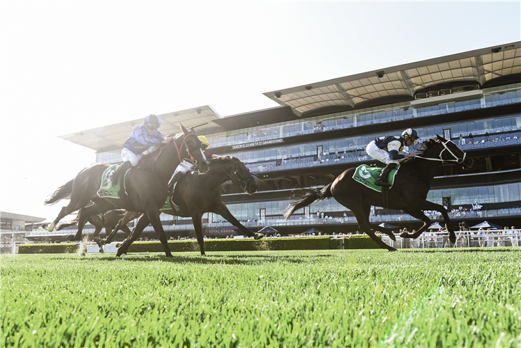 SALTCOATS winning the Tab Handicap at Randwick in Australia.