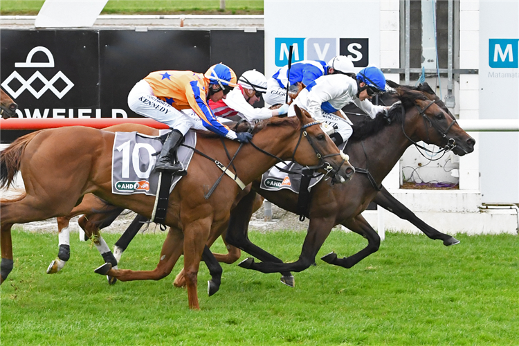 SAVAGLEE winning the AHD ANIMAL HEALTH DIRECT - HAWKE'S BAY GUINEAS