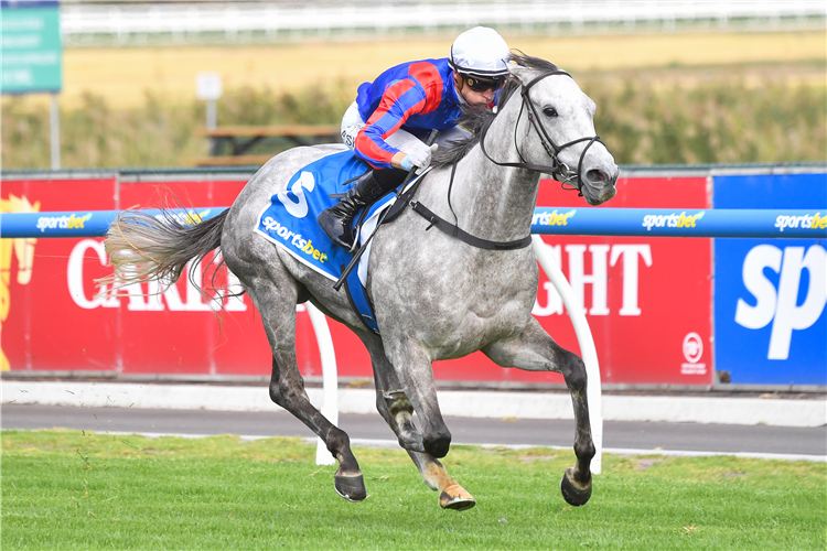 SEA WHAT I SEE winning the Sportsbet Bet With Mates Handicap in Caulfield, Australia.