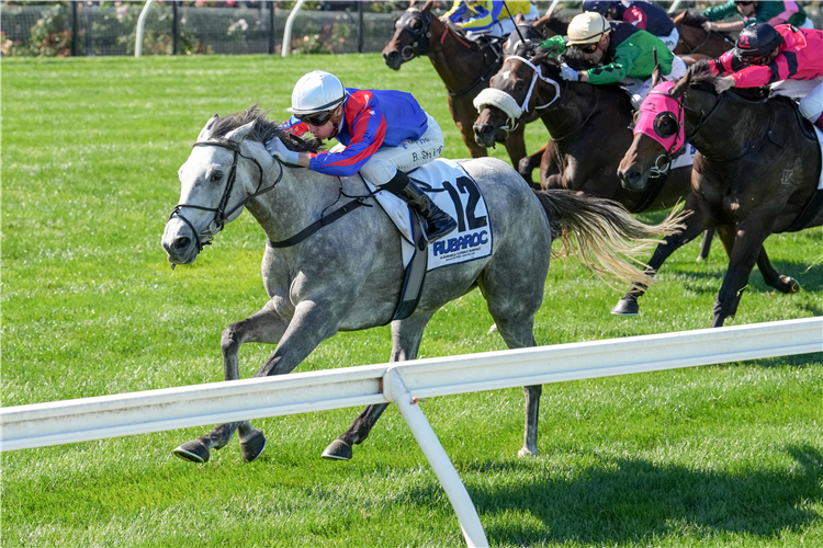 SEA WHAT I SEE winning the Rubaroc Grand Handicap Classic at Flemington in Australia.