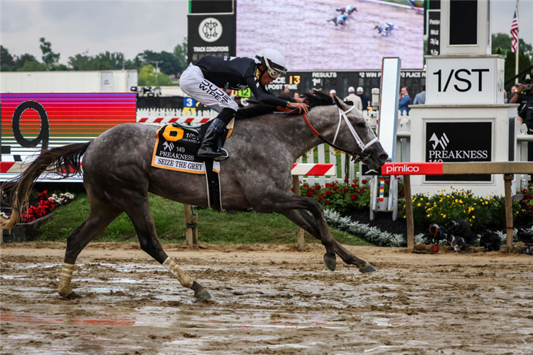 SEIZE THE GREY winning the Preakness Stakes at Pimlico in Baltimore, Maryland.