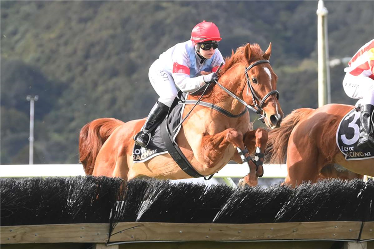 SEMPER MAGICO winning the CODY SINGER MEMORIAL MAIDEN HURDLE