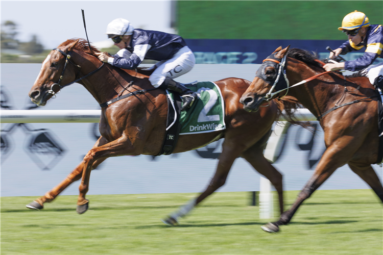 SERPENTINE winning the James Squire Neville Sellwood Stakes at Rosehill in Australia.