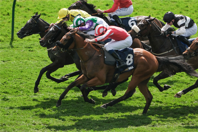 SEVEN QUESTIONS (red/white cap) winning the Palace House Stakes at Newmarket in England.