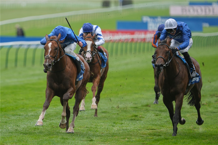 SHADOW OF LIGHT winning the Dewhurst Stakes at Newmarket in England.