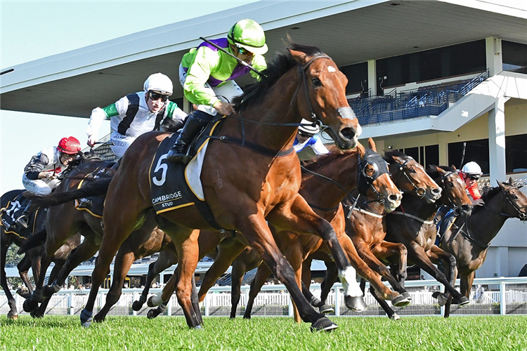 SHAMUS winning the ALMANZOR - PROVEN VALUE