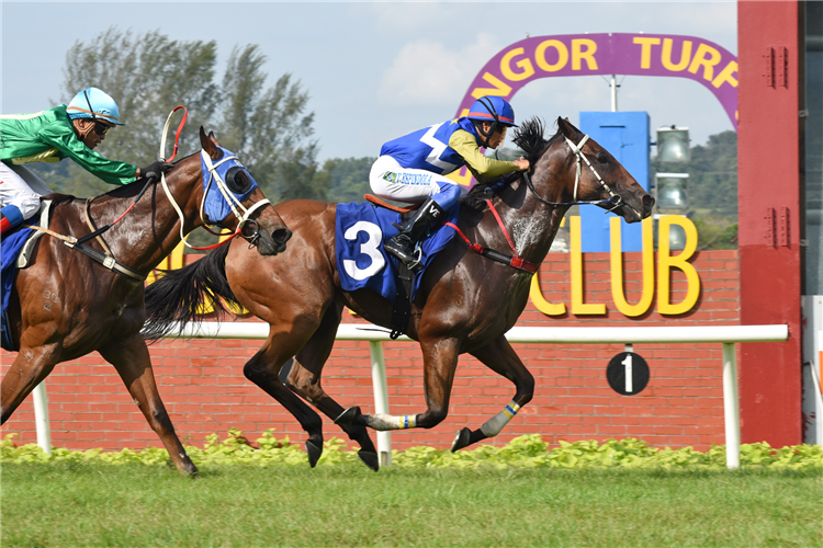 SHANG CHI winning the Dec 29 2024 Penang Meeting Race 4 (1153)