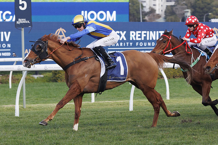 SHEZANALISTER winning the RACING FOR GOOD ON JULY 13 HANDICAP