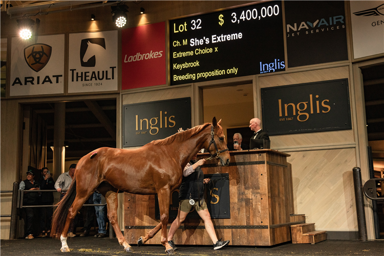 She’s Extreme sold for $3.4m at the Chairman’s Sale.