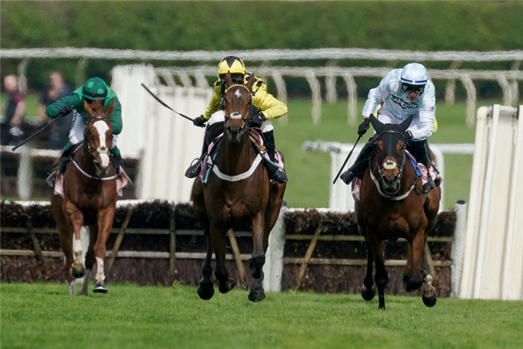 SIR GINO (centre, yellow/black cap) winning the 4-Y-O Juvenile Hurdle at Aintree in Liverpool, England.