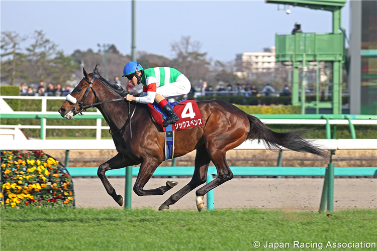 SIXPENCE winning the Spring Stakes (Japanese 2000 Guineas Trial) at Nakayama in Japan.