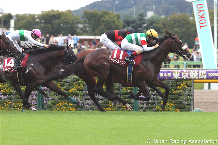 SIXPENCE winning the Mainichi Okan at Tokyo in Japan.