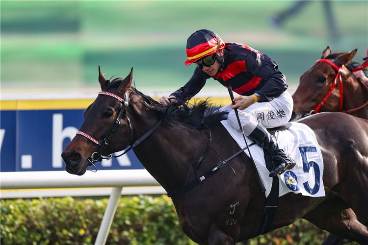 SKY JOY winning the HIBISCUS HANDICAP