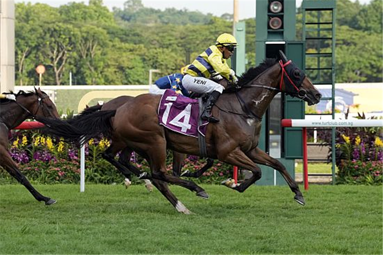 SMART STAR winning the GRAND SINGAPORE GOLD CUP GROUP 1