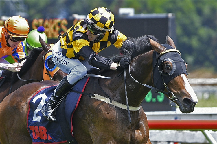 SNAZZYTAVI winning the CAL ISUZU STAKES