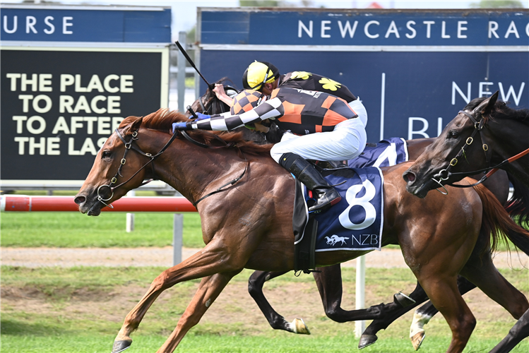 SNITZANOVA winning the NEW ZEALAND BLOODSTOCK SPRING STAKES at Newcastle in Australia.