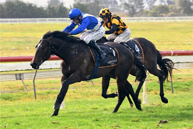 SO NAIVE winning the CAMBRIDGE STUD NORTHLAND BREEDERS STAKES