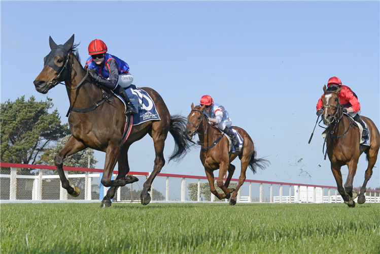 SPLIT winning the NZB AIRFREIGHT ROAD TO THE JERICHO