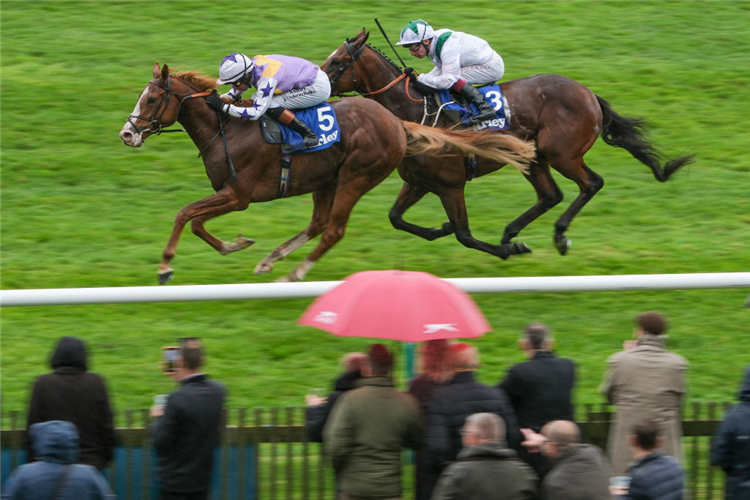 STARZINTHEIREYES winning the Zetland Stakes at Newmarket in England.