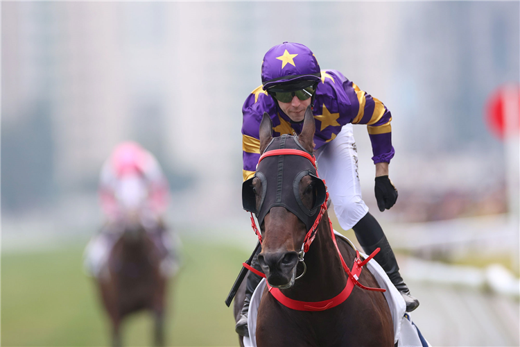 STELLAR EXPRESS winning the THE LUKFOOK JEWELLERY CUP (HANDICAP)