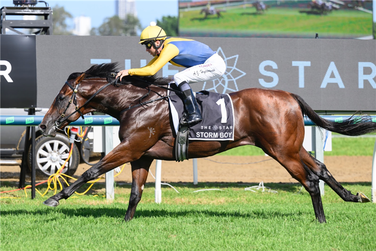 STORM BOY winning the $3M THE STAR GOLD COAST MAGIC MILLIONS 2YO CLASSIC - RESTRICTED LISTED at Gold Coast in Australia.