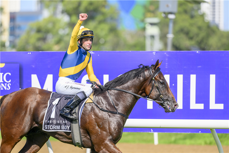 STORM BOY winning the $3M THE STAR GOLD COAST MAGIC MILLIONS 2YO CLASSIC - RESTRICTED LISTED at Gold Coast in Australia.