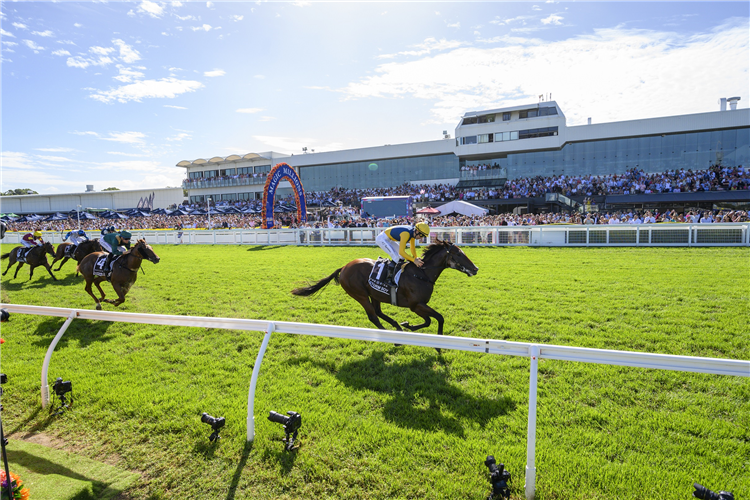 Storm Boy won last year's Magic Millions 2YO Classic.