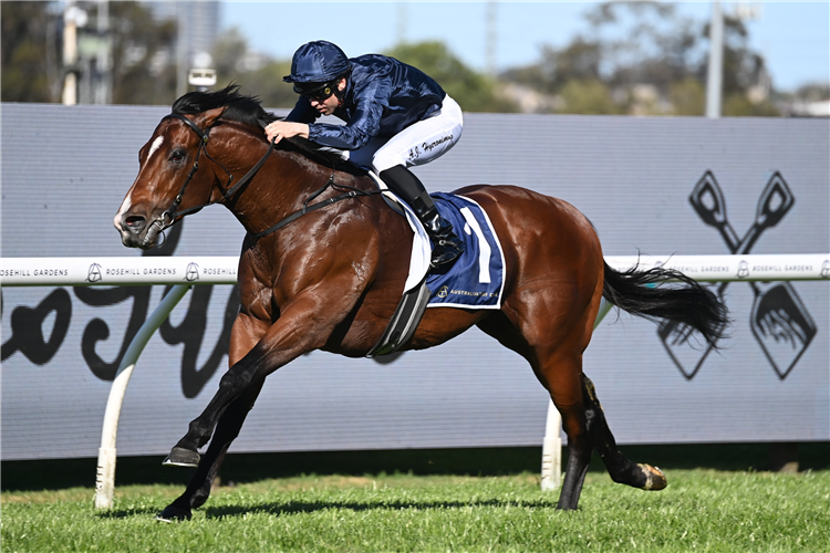 STORM BOY winning the Smithfield Rsl San Domenico Stakes at Rosehill in Australia.