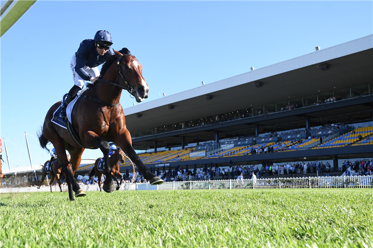 STORM BOY winning the Smithfield Rsl San Domenico Stakes at Rosehill in Australia.