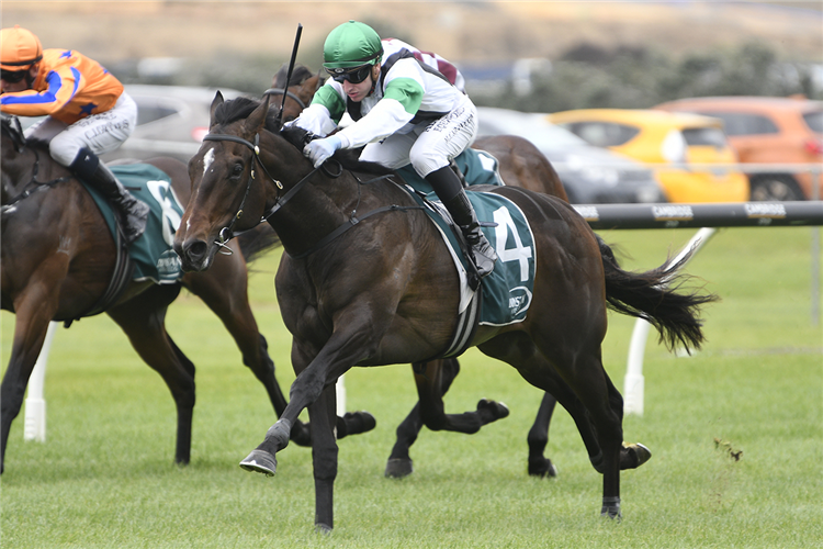 STORM FRONT winning the DUNSTAN HORSEFEEDS