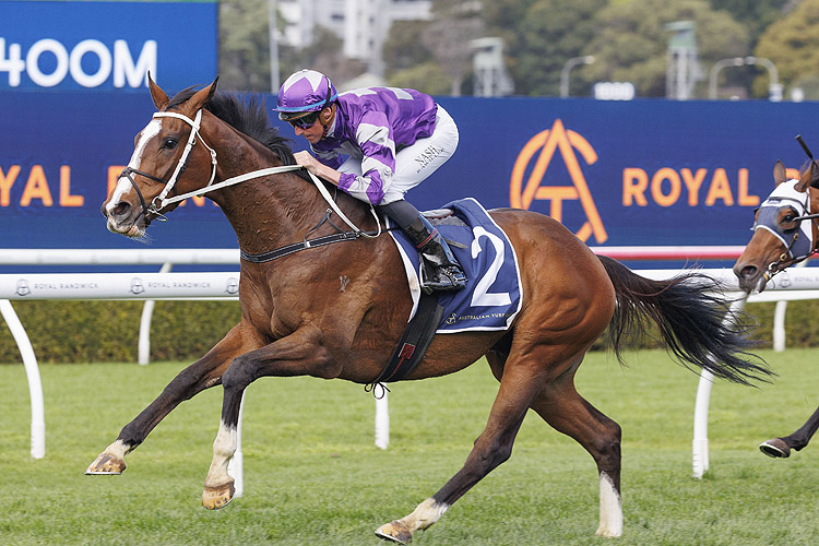 STRATHTAY winning the GOLD COAST TURF CLUB TROPHY