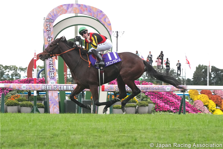 STUNNING ROSE winning the Queen Elizabeth II Cup at Kyoto in Japan.