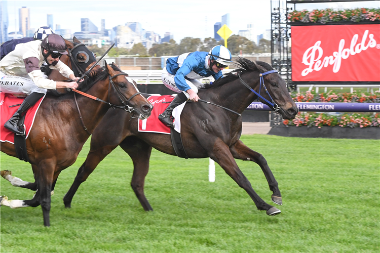 STYLISH SECRET winning the Victoria Derby Preview at Flemington in Australia.