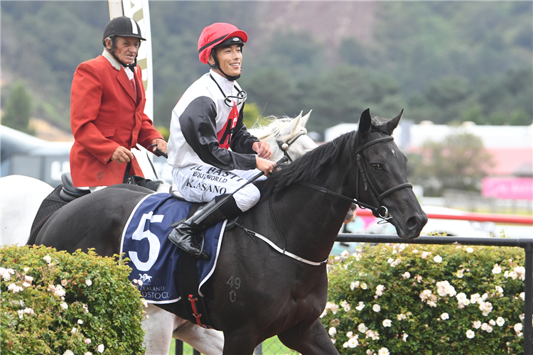 Sudbina and Kozzi Asano return to scale after winning the Gr.3 New Zealand Bloodstock Desert Gold Stakes (1600m) at Trentham