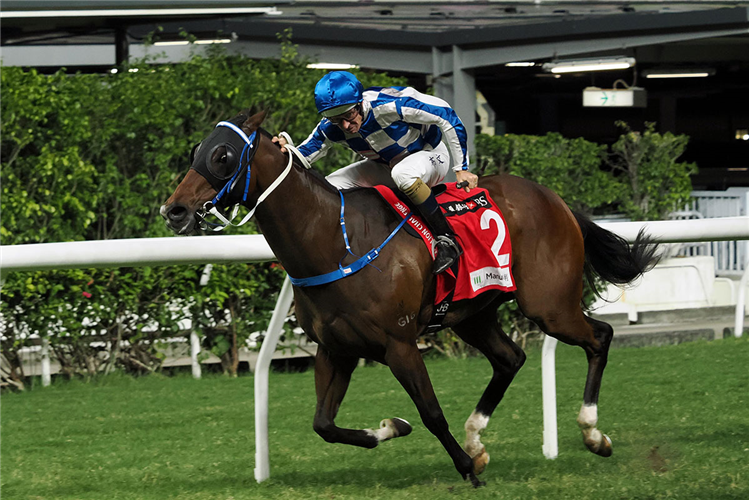 SUGAR SUGAR winning the HING YIP HANDICAP