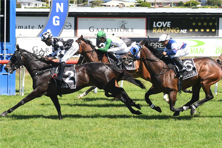 SUMI winning the LASER PLUMBING WAIHI BEACH