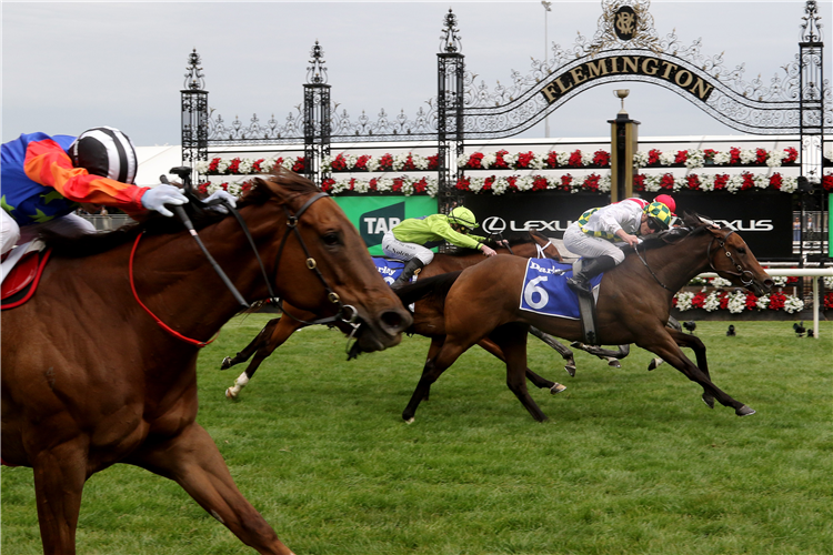 SUNSHINE IN PARIS winning the Darley Champions Sprint