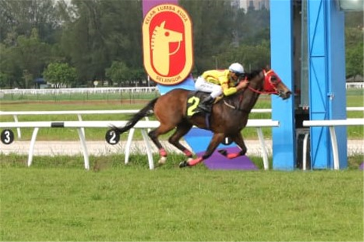 SUPER HAPPY winning the SELANGOR Race 6