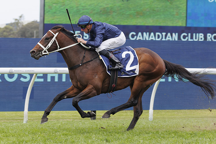 SWITZERLAND winning the CANADIAN CLUB ROMAN CONSUL STAKES