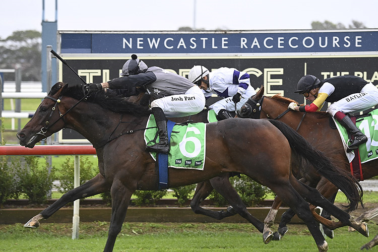 TANGLEWOOD winning the TAB HIGHWAY HANDICAP